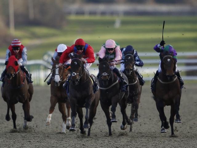 This evening's racing comes from the meetings at Lingfield and Leicester